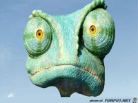 nicht schon wieder Elfmeter