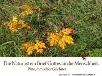 Die Natur ist ein