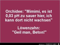 Der feine Unterschied