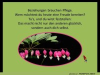 Beziehungen brauchen Pflege