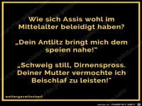 Beleidigung