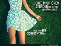 die-schoenen-stunden-im-leben..