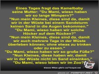 Eines Tages fragt das Kamelbaby seine Mutter