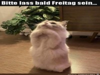 Bitte lass bald Freitag sein
