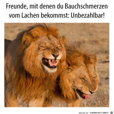 Herzhaft-lachen.jpg von Lasse