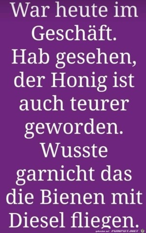 Honig.jpg auf www.funpot.net