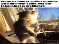 Es wird sp�ter dunkel