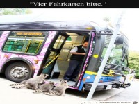 Lustige Fahrg�ste