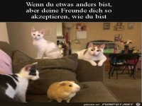 Du bist etwas anders