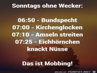 Sonntags ohne Wecker