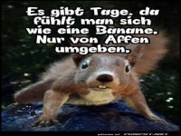 Es gibt diese Tage