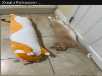 Zugluftstopper