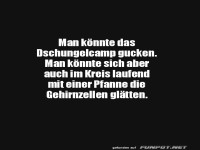 Alternativen zum Dschungelcamp schauen