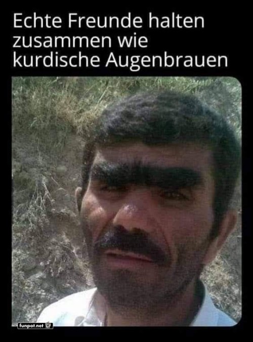 Echte-Freundschaft-und-Zusammenhalt.jpg auf www.funpot.net