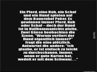 Ein Bauernhof-Pokerspiel