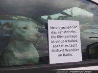 Hundeohren brauchen eine Pause!