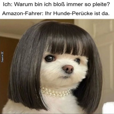 Fashion-Fauxpas-f&uuml;r-den-Vierbeiner.jpg von Caroline