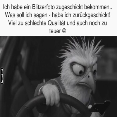 Wenn-das-Blitzerfoto-nicht-Insta-tauglich-ist.jpg von Ida-1969