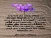 weiter
