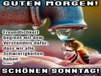 Kaffeetropfen f�r eine flei�ige Biene!