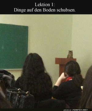 Katzendozent-enth�llt-Schubs-Geheimnisse.jpg auf www.funpot.net