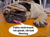 Montag