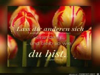 Lass die anderen