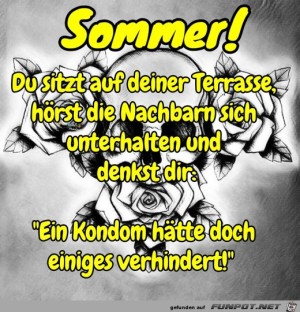 Sommer.jpg auf www.funpot.net