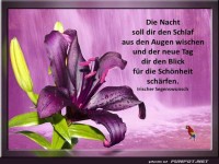 Irischer Segenswunsch