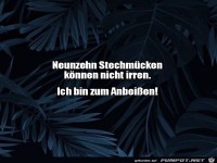 Zum Anbei�en