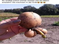 Ein Mann w�chst in der Erde