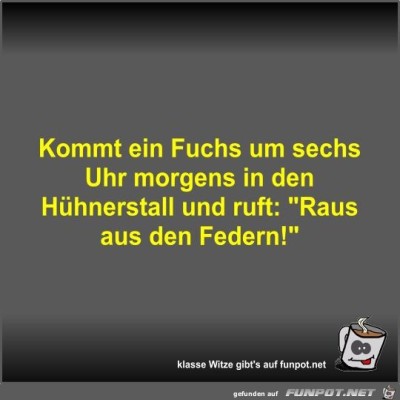 Kommt-ein-Fuchs-um-sechs-Uhr-morgens-in-den-H&uuml;hnerstall-und.jpg von Fossy