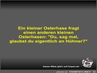 Ein kleiner Osterhase fragt einen anderen kleinen Osterhasen