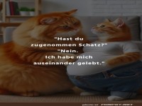 Zwei Katzen mit humorvollem Dialog