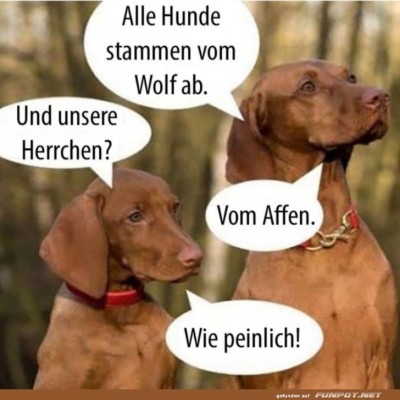 Hunde-und-ihre-Herrchen-Herkunft-Diskussion.jpg von Marika