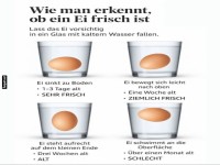 Frischetest f�r Eier: So erkennst du es einfach