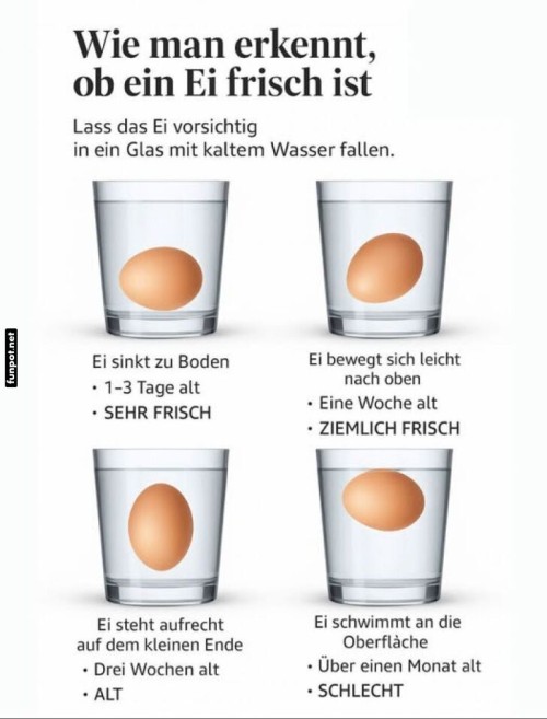 Frischetest-für-Eier:-So-erkennst-du-es-einfach.jpg auf www.funpot.net