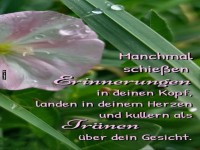 Erinnerungen mit Trnenbewsserung