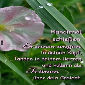 Erinnerungen-mit-Trnenbewsserung.jpg von Lydia