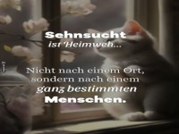 Katzennostalgie - Wenn Fensterblick zum Fernblick wird