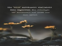 Sag 'Nein' zu hufiger Zustimmung!