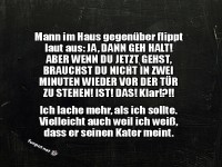 Drama um den Kater des Nachbarn