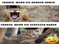Vorher-Nachher: Hungermetamorphose