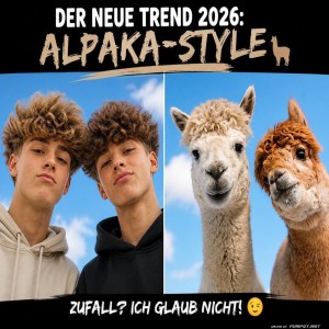 Alpaka-Vibes:-Der-Frisurentrend-2026.jpg von Justus2002