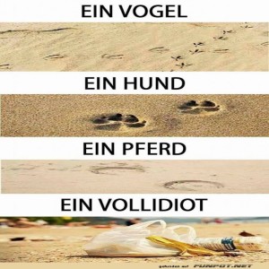 Meeresstrand-Fu�abdruck-Detektiv.jpg von Tobias-1995