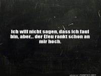 Der Elefanten-Witz des Tages!