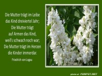 Die Mutter