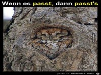 Wenn es passt, dann passt es