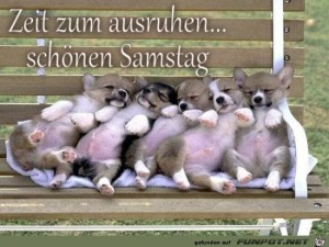 Begrüßungsbild