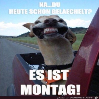 Montag.jpg von Petzi